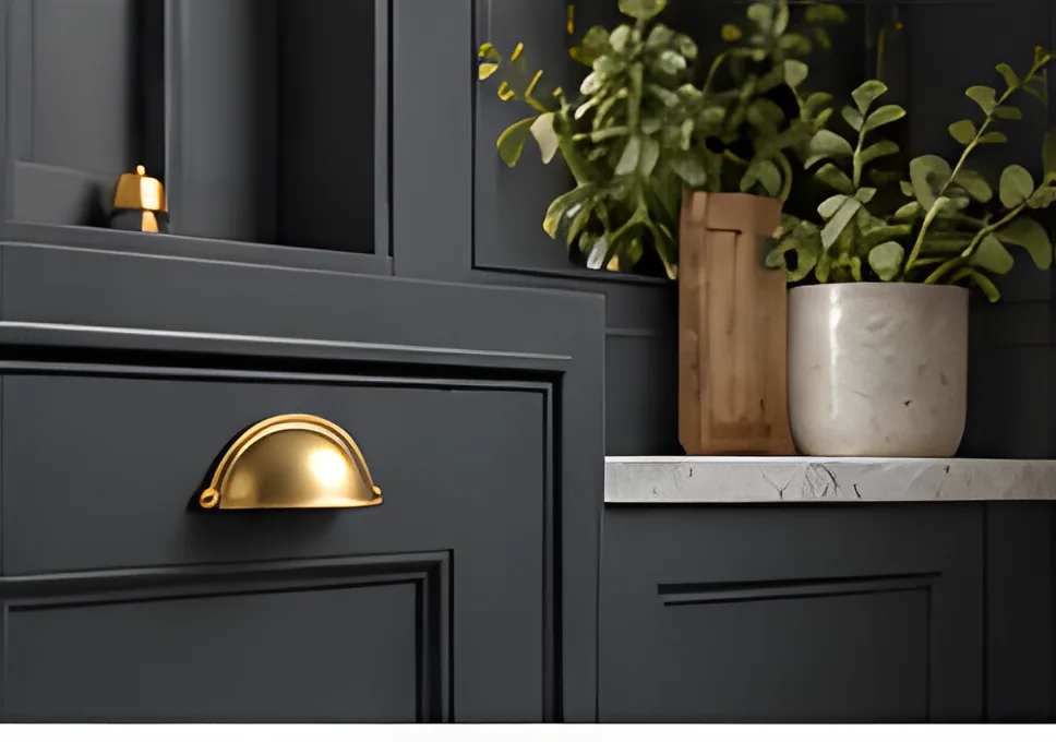 Deep charcoal cabinet with a brass cup handle and potted plants